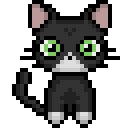 Tuxedo Cat